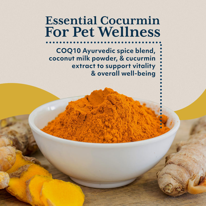 Ayush Herbs Ayush Pet CoCurcumin with Coq10, Muscle and Joint Pet Superfood Powder, Heart and Digestion Support, Small or Large Animals, Young and Senior Pet Supplement, 5.2 Ounces - PawsPlanet Australia