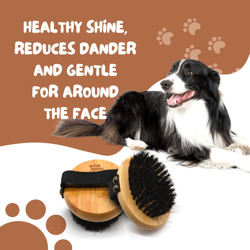 The Buddy System Pet Close Brush, Soft Touch Oval Palm Brush - Bamboo Massage Handheld with Soft Boar Bristles and Elastic Band for Dogs and Cats 1-pack Oval Brush - BeesActive Australia