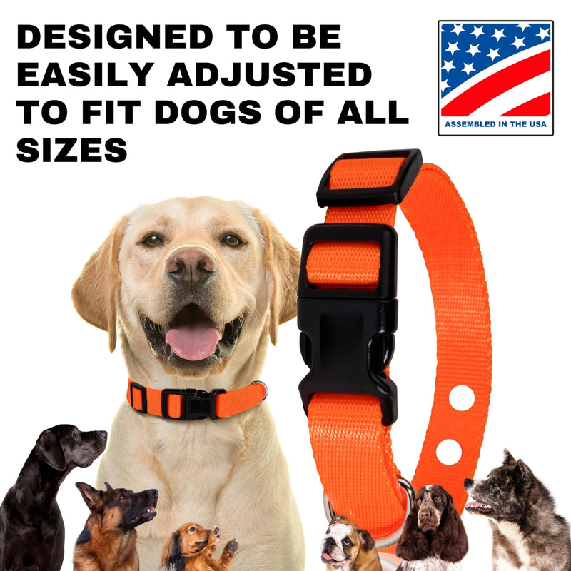 1" Nylon E Collar Replacement Strap - Shock Collar Replacement Collar, Fence Collar Replacement, Compatible with Pet Safe & Invisible Fence & Fits Most PetSafe Collars (1" Pink) 1 inch - BeesActive Australia