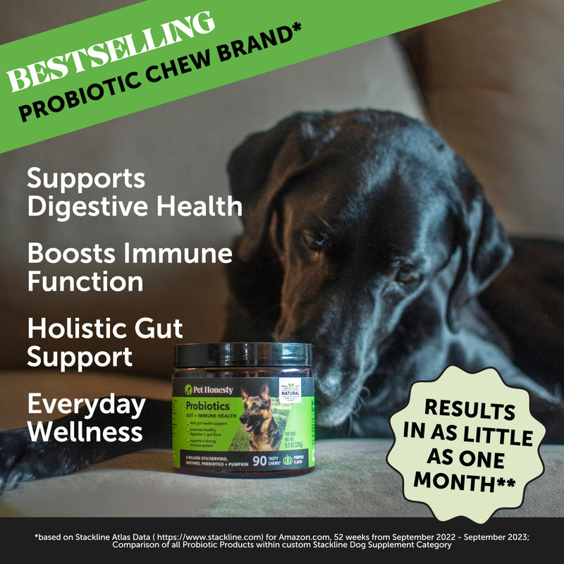 Pet Honesty Probiotics for Dogs + Dental Powder for Teeth Cleaning & Plaque Removal, Dog Probiotics for Gut Health, Diarrhea, Bowel Support & Itch Relief - PawsPlanet Australia