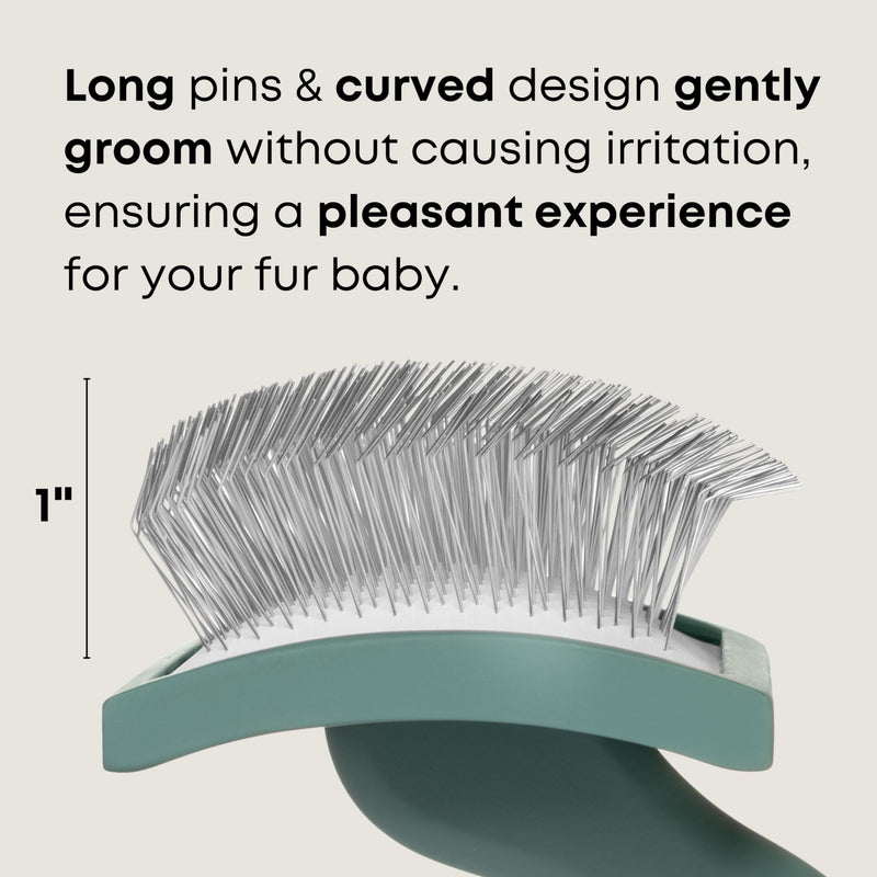 Doodle Brush for Goldendoodle, Poodle, and Labradoodle Coats - Best Slicker Dog Brush for Wavy & Curly Hair - Detangle, Brush, & Fluff Like a Pro - Golden Doodle Must Haves by Freshly Bailey - BeesActive Australia