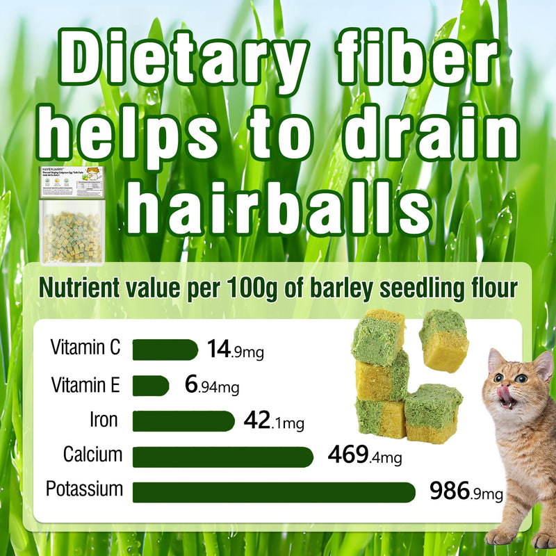 Freezed-Dried Cat Grass Treats, Catgrass Egg Yolk Duo Bites, Cat Dental Treats for Hairball Control and Healthy Coat, Cats Teething Stick (60g, EggYolk) 2.11 Ounce (Pack of 1)