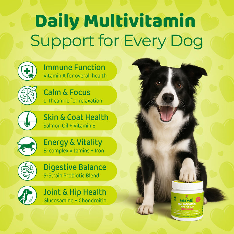 Multivitamins for Dogs – 120 Soft Dog Chews Packed with Vitamins & Minerals – Dogs Multivitamin for Vitality & Overall Wellness – Chicken Flavor Dog Treats for All Ages, Breeds & Sizes