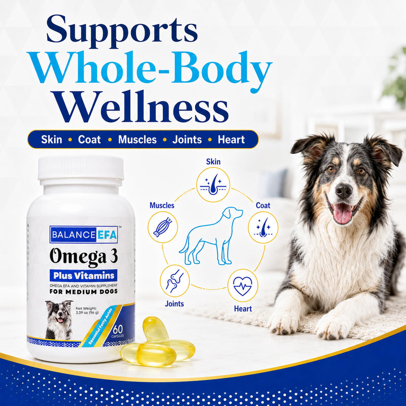 BalanceEFA Omega 3 Fish Oil for Dogs, Skin & Coat, Medium Breed 60 Ct | Fish Oil Capsules with EPA & DHA, Vitamins A, D3 & E, Supports Healthy Skin, Coat & Joints, Vet Formulated Medium - 60 count