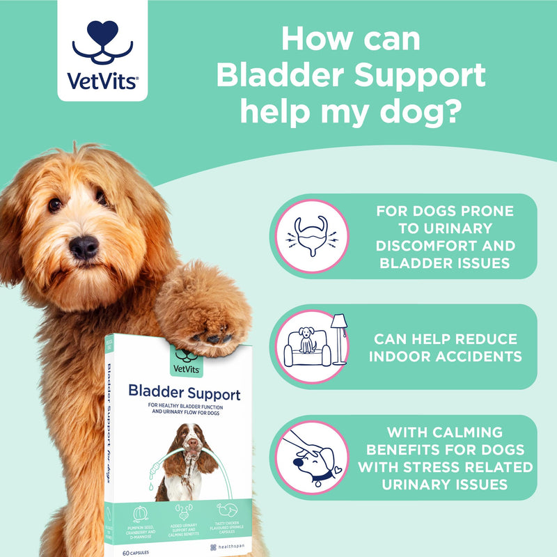 Bladder Support for Dogs (60 capsules) | Helps reduce indoor accidents | Urinary Health for Dogs | Bladder complex with pumpkin seed, D-mannose and cranberry