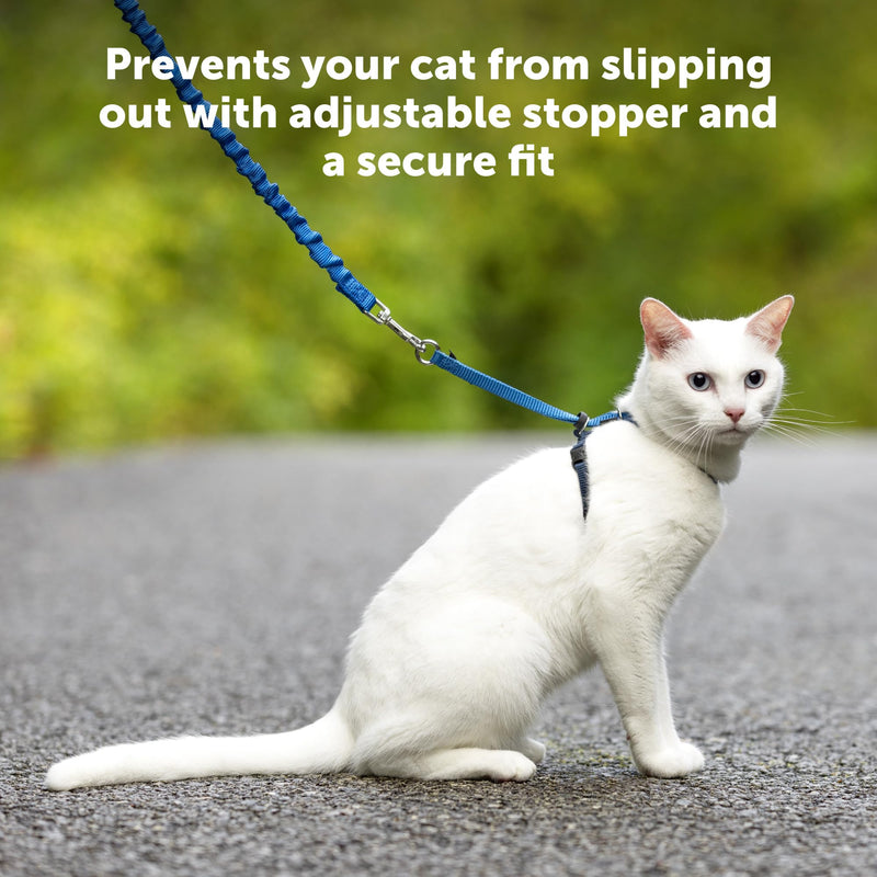 PetSafe Come with Me Kitty Harness and Bungee Cat Leash, Medium, Purple/Light Purple Medium (Pack of 1) - BeesActive Australia