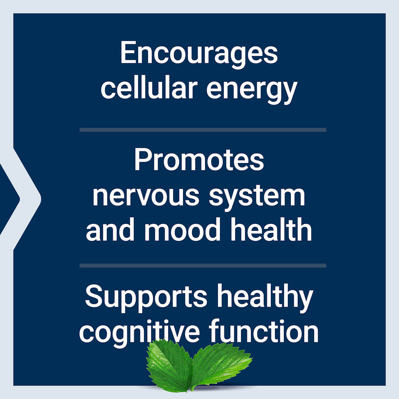 Life Extension Acetyl-L-Carnitine, Acetyl-L-Carnitine, Vitamin C, Brain, Mood & Nerve Health, Cellular Energy, Gluten-Free, Non-GMO, Vegetarian, 100 Capsules | Brain, Mood & Nerve Health Plus Cellular Energy, 3-Month Supply, Gluten-Free, Non-GMO & Vege...