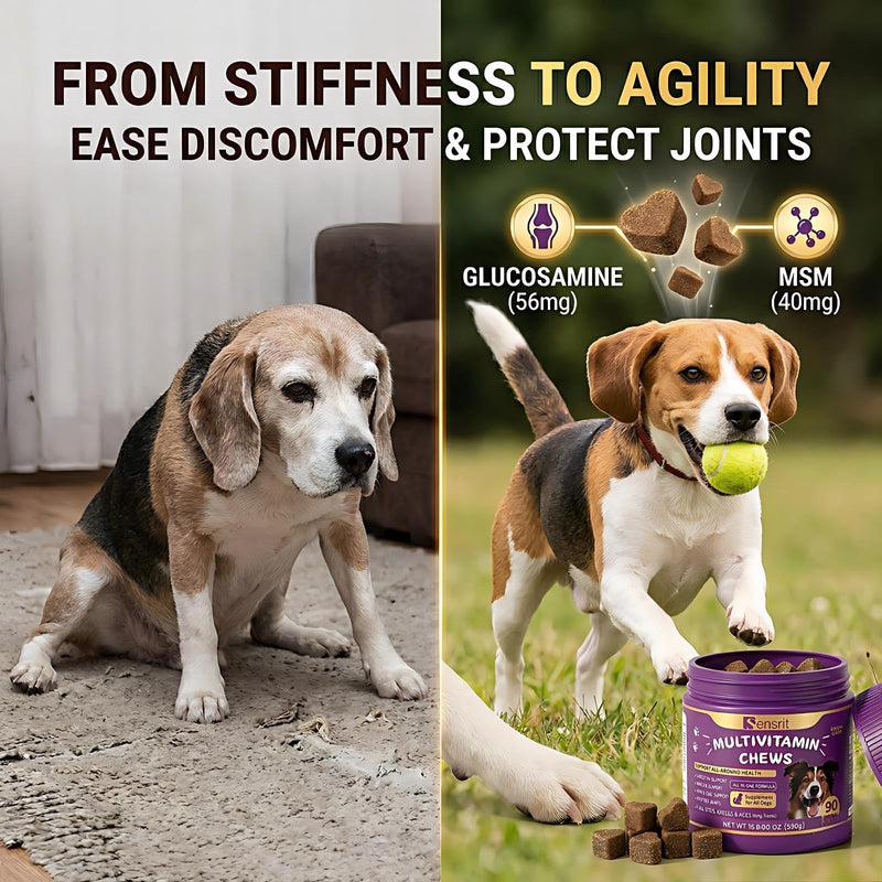 8-in-1 Dog Multivitamin - 90 Soft Chews, Chicken Flavor - Glucosamine, MSM, Chondroitin & Salmon Oil - Support Joint, Immune, Skin & Coat, Digestion for All Ages & Breeds Dogs.