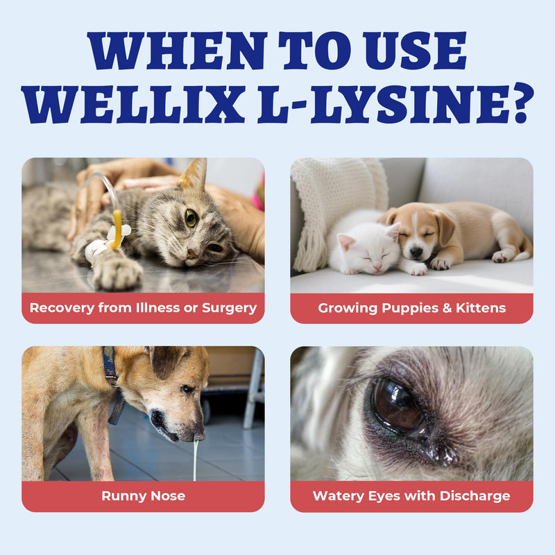 4oz Larger Volume Liquid L-Lysine Drops for Cats&Dogs with Cat & Dog Taurine - Immune Support&Respiratory Support - Sneezing, Runny Nose, Eye Care, Allergy Relief - Chicken Flavor