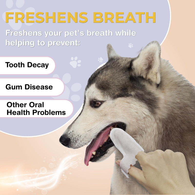 40 Dog Teeth Wipes - Dog Teeth Cleaning Products - Dog Dental Wipes - Teeth Cleaner for Dogs - Dog Tooth Cleaner - Dental Care for Dogs - Dog Tooth Brushing Kit - Dog Teeth Cleaning Kit - Dog Wipes - BeesActive Australia
