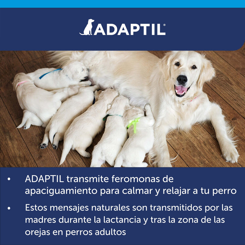 CEVA Adaptil Calm - Anti-Stress For Dogs - Fears, Loud Noises, Learning, Adoption - Collar S For Small Dogs