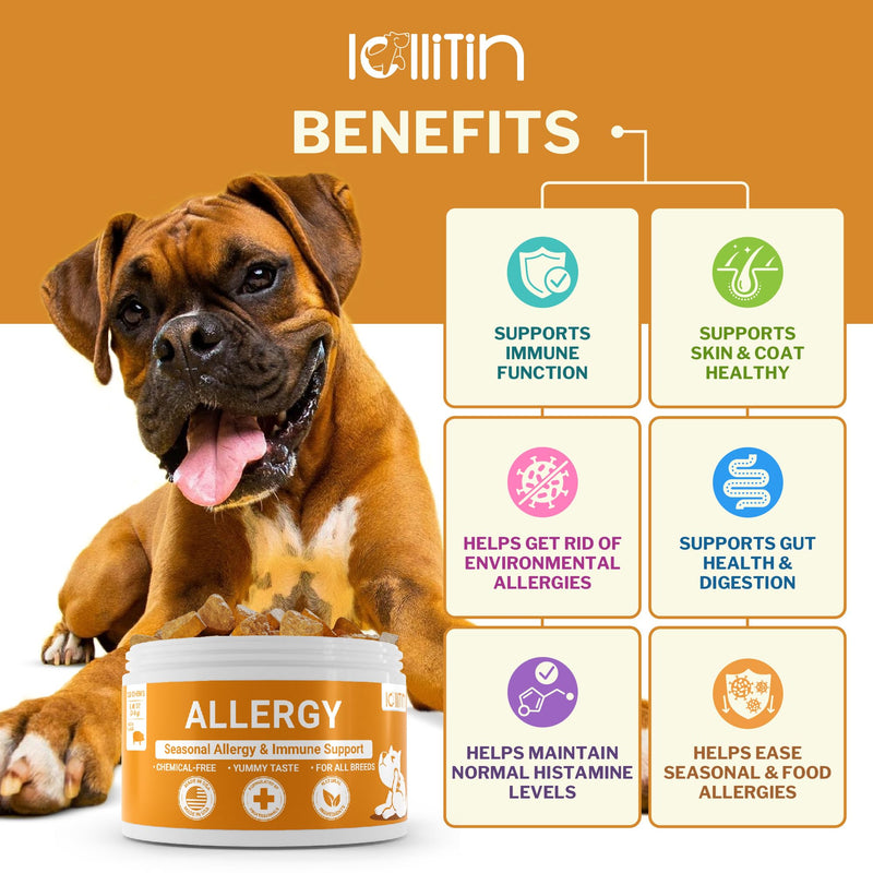 Allergy Relief for Dogs - 120 Chews - Seasonal Allergy, Immune Support, Skin and Coat Health - All Natural, Made in USA - BeesActive Australia