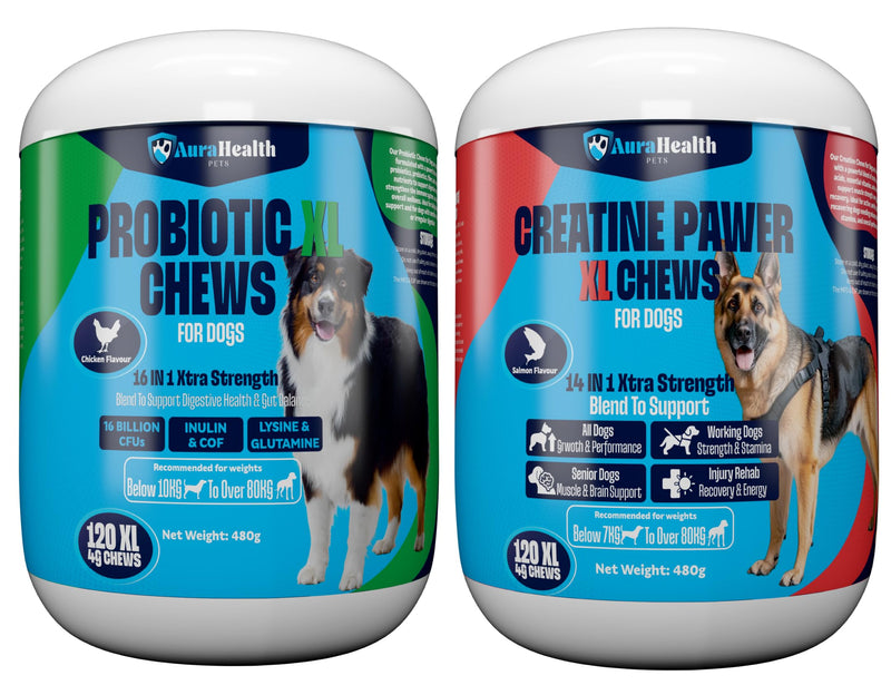 Dual-Action Strength & Gut Health Bundle for Medium to Large Dogs (120 XL Chews x2)