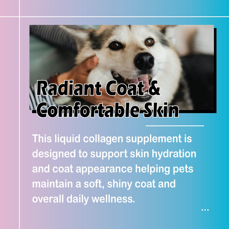 Healthy Petz Premium Liquid Collagen Drops for Dogs - Three Collagen, Hyaluronic Acid & Vitamins - Joint Support, Skin & Shiny Coat - Everyday Vitality Supplement, High Absorption, 2 Fl Oz