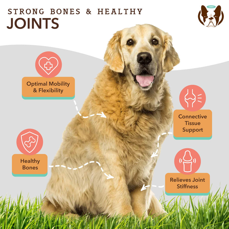 Natural Dog Company Wellness Bundle for Dogs, Skin & Coat Supplements for Dogs, Hip & Joint and Glucosamine for Dogs - PawsPlanet Australia
