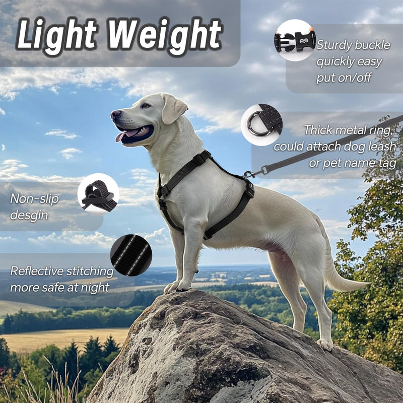 Dog Harness Leash Set, No Pull Adjustable Halter Cute Comfort Padded Handle for Medium Sized Large Small Dogs Walking Training Running with Reflective（Small,Black） Black - BeesActive Australia