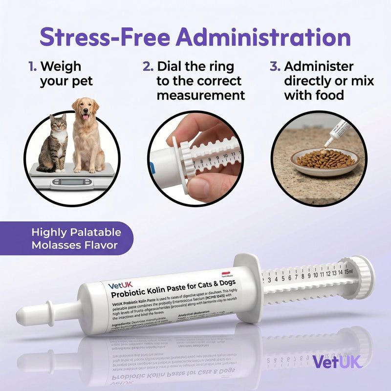 60 ml Probiotic for Dogs & Cats prokoline paste for dogs Digestive Support and Gut Health Supplement for Loose Stools 60 ml