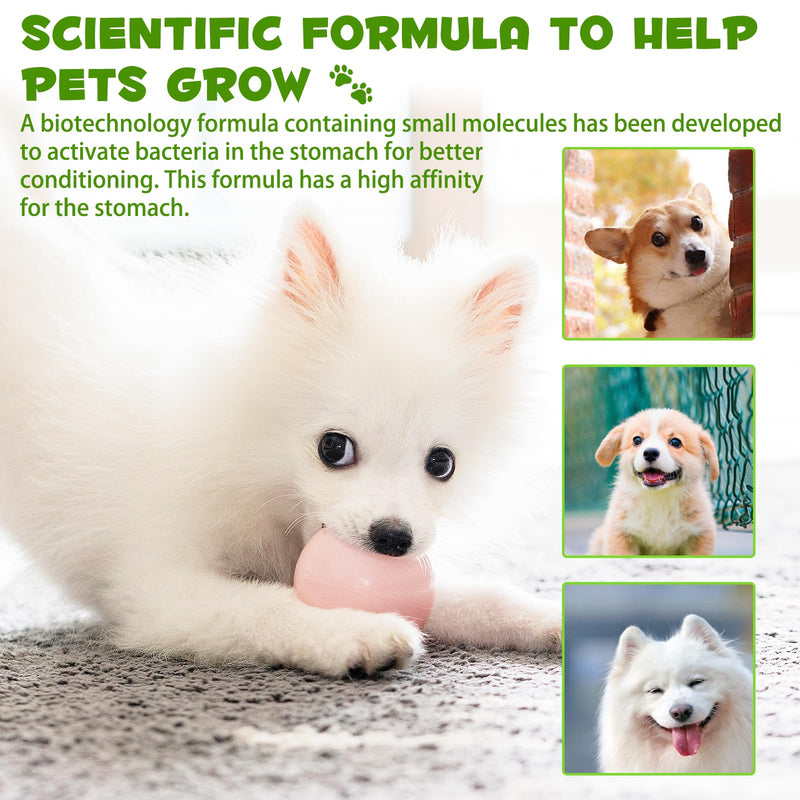Probiotic for Dogs, 3 in 1 Prebiotics Drops with Enzymes for Skin & Coat Support, Supports Digestive Function & Immune Function, Pet Supplements Liquid Probiotic - 60 ml 60ml