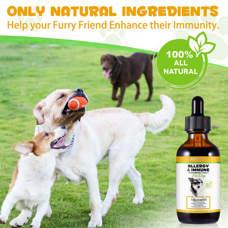 Oimmal Dog Allergy Support Drops, Natural Herbal Supplement for Dogs, Supports Skin & Coat, Gut Health & Normal Immune Function, Liquid Pet Supplement with Antioxidants, Bacon Flavor, 60ml / 2 fl oz