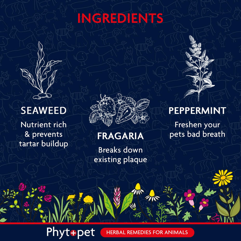 Phytopet TartarX Plaque and Tartar Remover for Teeth, Cat and Dog Breath Freshener, All Natural Cat and Dog Dental Care, 300g - 100% Herbal Phytopet Pet Supplies