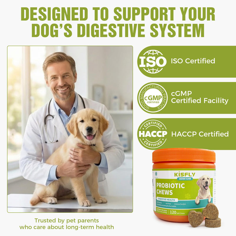 Dog Probiotics 2 Billion CFU & 6 Strains - Advanced Digestive Support with Bacillus Subtilis - Soft Chews for Gut Health, Bloating & Healthy Stool - Daily Supplement for All Breeds 120 Count-V2