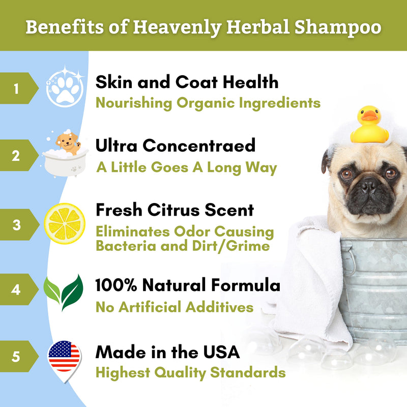 Wholistic Pet Organics Pet Shampoo Concentrate: Heavenly Herbal Organic Dog Shampoo and Conditioner - All Natural Puppy and Cat Shampoo for Dry, Itchy Skin, Allergies, Dandruff Shampoo 2.0 Ounces - BeesActive Australia