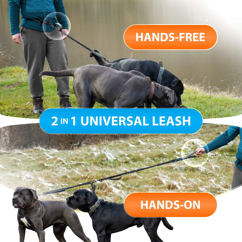 SparklyPets Hands Free Double Dog Leash – Dual Leash for Medium and Large Breeds – Lead for 2 Dogs with Padded Handles, Reflective Stitches, No Pull, Tangle Free Gray 2 dogs M/L - BeesActive Australia