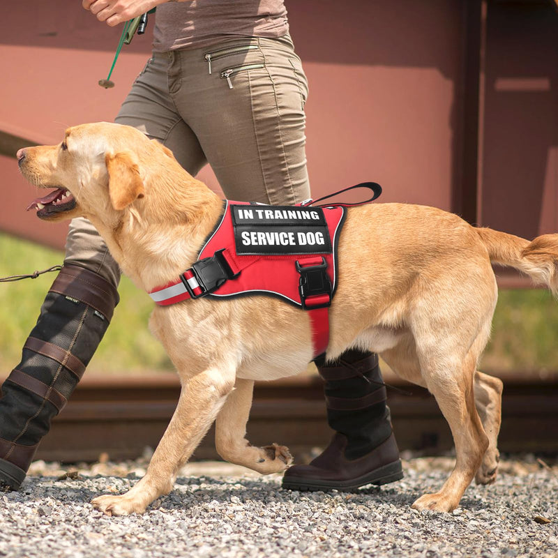Service Dog Vest Harness and Leash Set+10 Patches,No Pull&Adjustable Reflective Dog Harness with Soft Padded Handle for Training/Everyday,Fit Small/Medium/Large/Extra-Large Dogs(Red L) Large Red - BeesActive Australia
