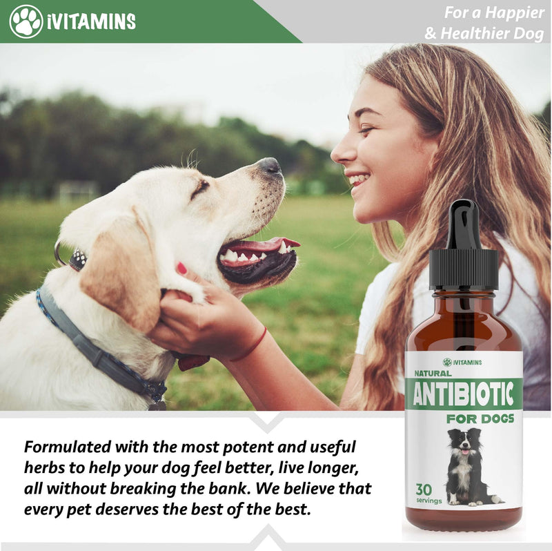 Natural Dog Antibiotics - Antibiotics for Dogs - Antibiotic for Dog - Yeast Infection Treatment for Dogs - Dog Yeast Infection Treatment - Itch Relief for Dogs - 1 fl oz - Bacon Flavor - PawsPlanet Australia