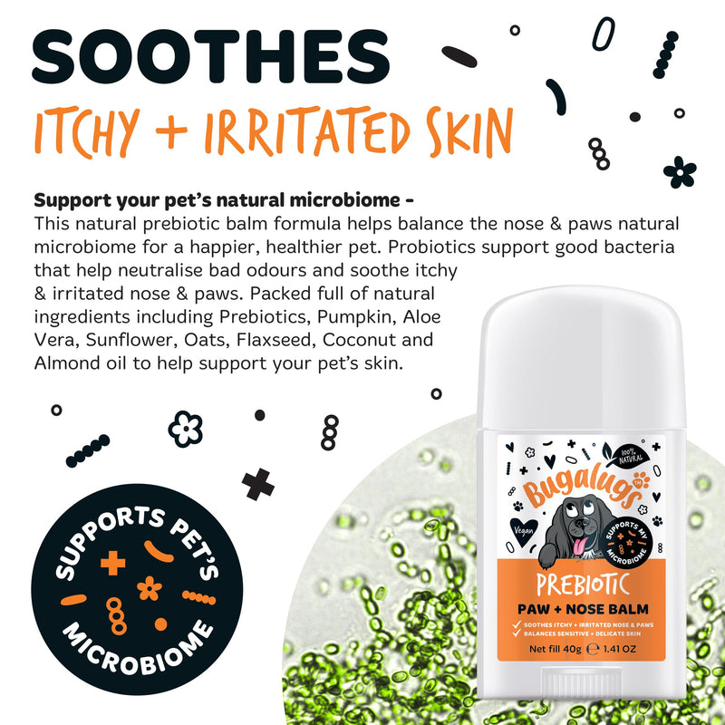 Bugalugs Prebiotic Dog nose balm, Natural lick safe Paw balm for dogs contains Pumpkin Powder for itchy skin and supports your dogs Microbiome (Prebiotic Paw & Nose Balm) Prebiotic Paw & Nose Balm