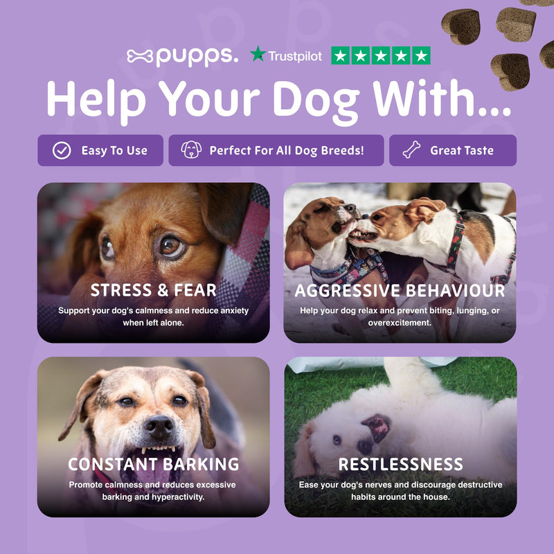 Pupps Calming Dog Treats – 120 Natural Anxiety & Stress Relief Chews | Vet Approved with Hemp, Chamomile & Valerian | Helps Reduce Barking, Separation Anxiety & Hyperactivity | UK Made for All Breeds 120 x Chews