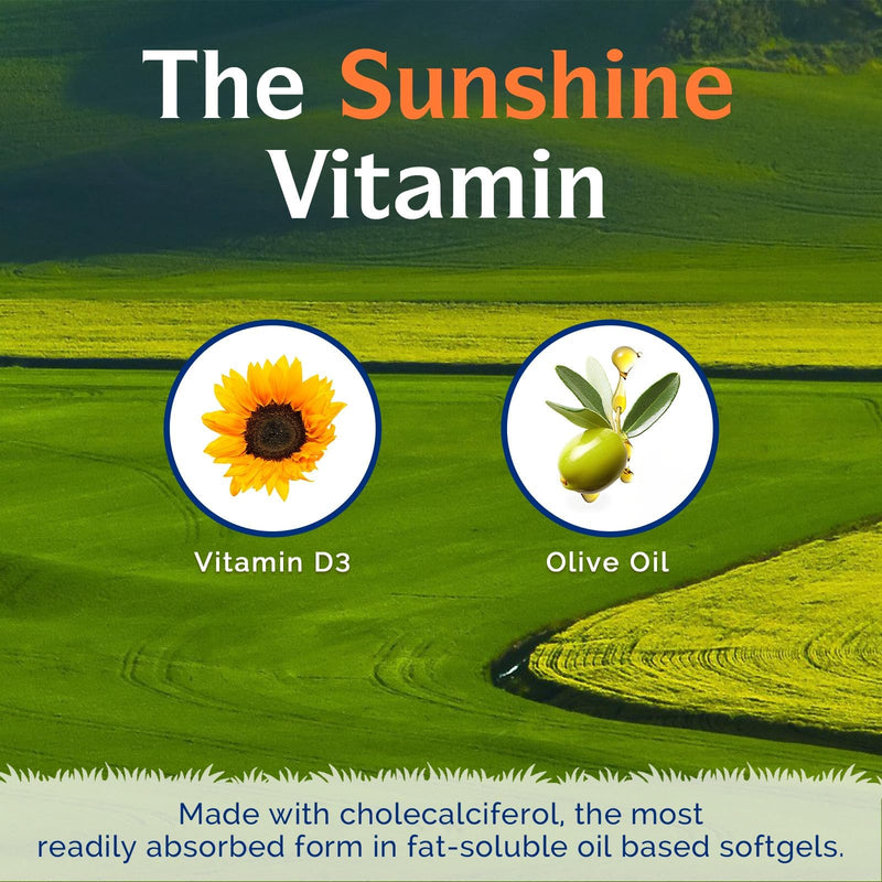 Innate Vitality Vitamin D3 5000 IU (125 mcg) | High Potency, for Bone, Teeth, and Immune Health Support, Non-GMO, No Soy or Gluten