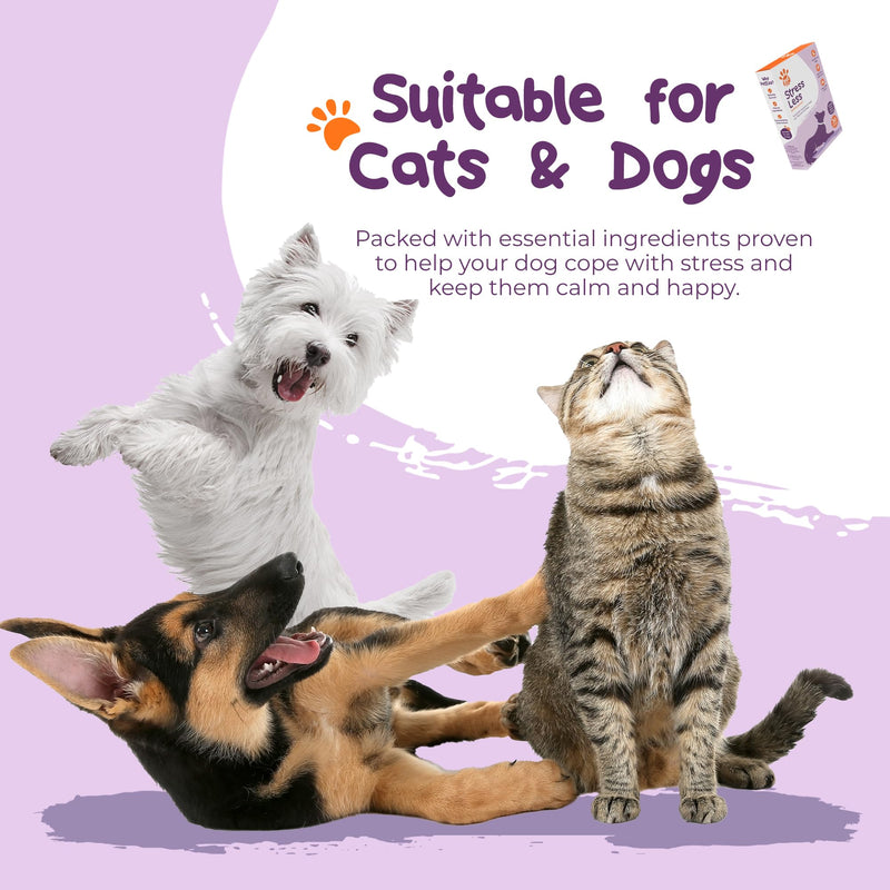 Stress Less Calming Chews - soft chew treat supplement for dogs and cats - help keep pets calm and anxiety & stress free during fireworks, Christmas, periods of separation - 60 chews per jar
