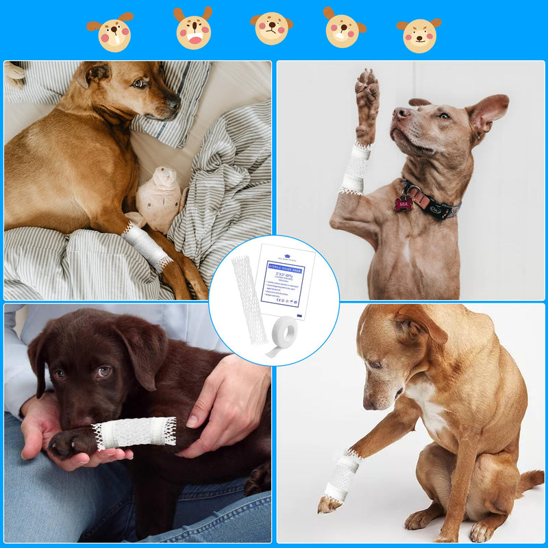 Dog Tail Protector Dog Ends Starter Pack Dog Tail Dressing Vet Wrap for Dogs Pet Animals - BeesActive Australia