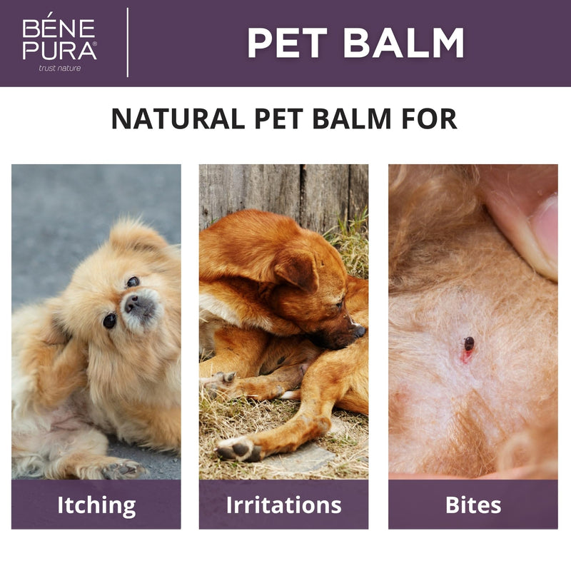 BenePura Dog Paw Balm for Itchy and Irritated Skin Relief - Soothes the Paws, Nose and Skin after Insect Bites - Unscented and Lick Safe - Suitable for Cats - 100% Natural Pet Balm - 1.35 fl. Oz