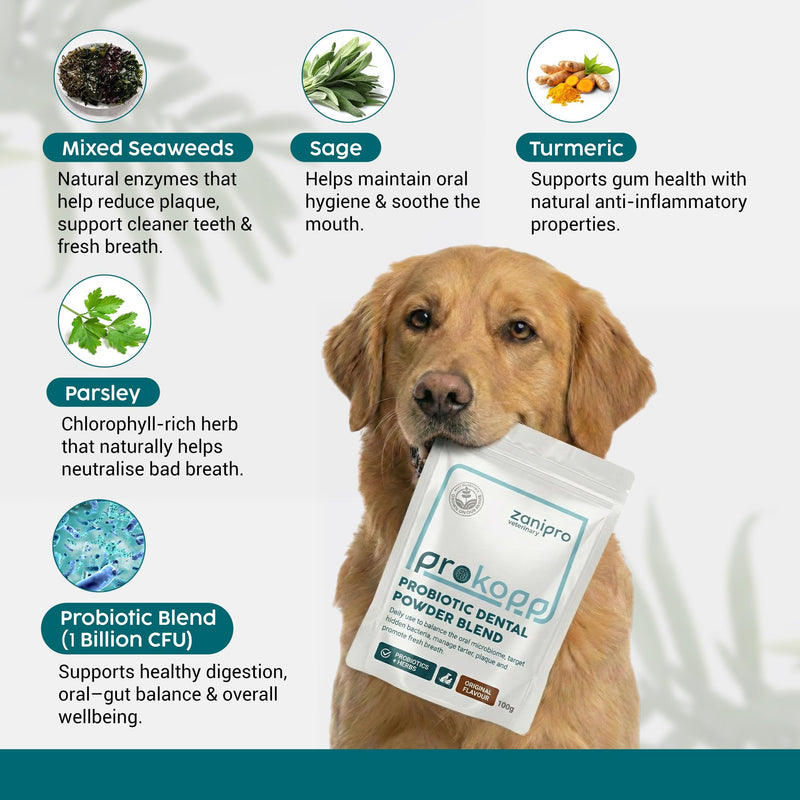 Cat & Dog Dental Powder - Plaque Off Powder for Dogs & Cats, 100% Natural Seaweed for Dog Teeth Cleaning & Gum Disease, Remove Bad Breath, Dental Care Formula for Oral Health Hygiene | 100g