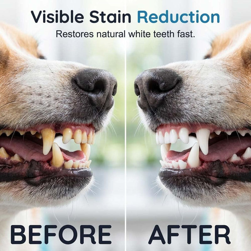 Pet Dental Tartar Remover, Oral Spray for Dogs Teeth Cleaning, Foaming Dental Care Spray for Tartar & Fresh Breath, Dog Breath Freshener, Support Healthy Gums, Reduce Tartar for Cats and Dogs (1PC)