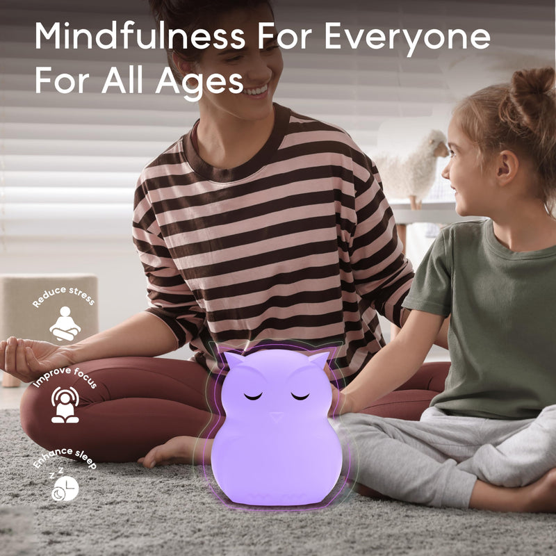 Breathing Pal Mindfulness Breathing Light, Guided Visual Meditation Breathing Light, Mindfulness Breathing Owl, Calm Down Corner Supplies, Sensory Items for Classroom, Meditation Accessories Ollie (Owl) Standard - BeesActive Australia