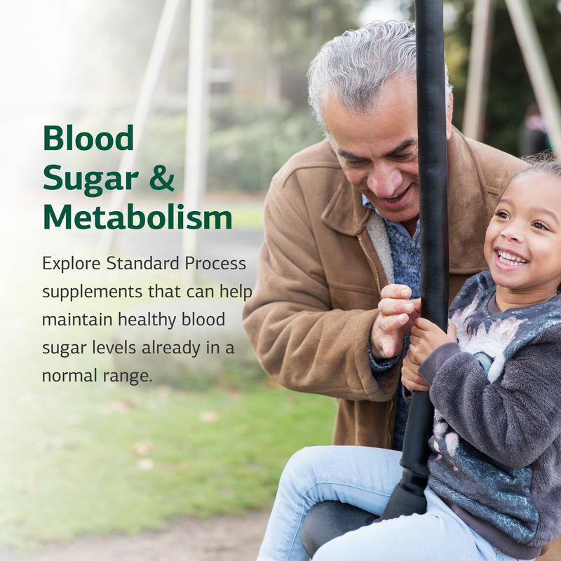 Standard Process Niacinamide B6 - Supports Energy Metabolism & Nervous System Health - Aids Blood Flow & Digestive Health with Niacin & Vitamin B6 - Non-Dairy - 90 Capsules