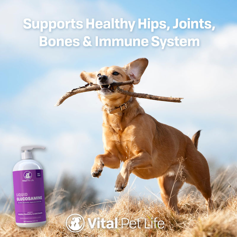 Liquid Glucosamine for Dogs Cats & Horses with Chondroitin, MSM, and Hyaluronic Acid, Hip & Joint Supplement for Mobility & Comfort, Supports Joint Health & Flexibility, Mobility, & Protection, 32 oz - BeesActive Australia