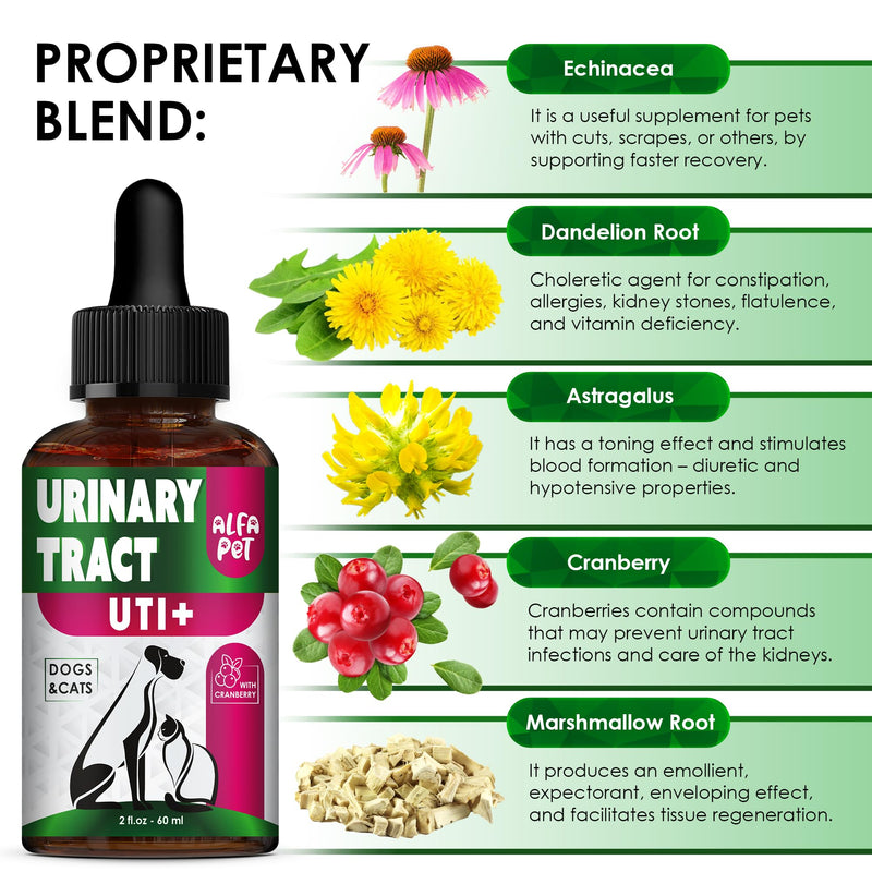 Сat Urinary Tract Infection Treatment with Cranberry – Dog UTI Treatment to Care for Bladder – Cat UTI Treatment for Kidneys – Preventive Support for Renal Health in Drops – 2 Oz - BeesActive Australia