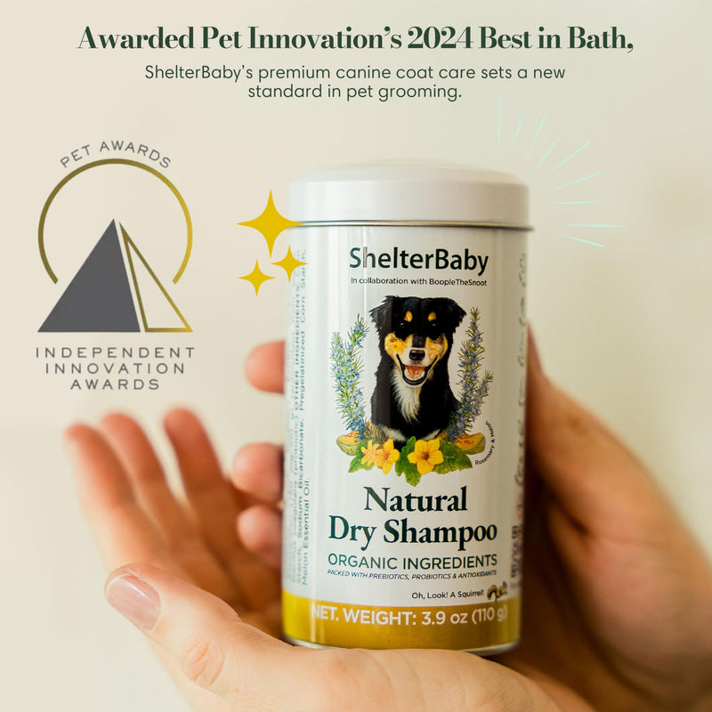 Dog Powder for Itchy Skin, Hot Spots & Yeasty Paws – Dry Shampoo for Sensitive Skin with Probiotics, Antioxidants & Prebiotics - Waterless - PawsPlanet Australia