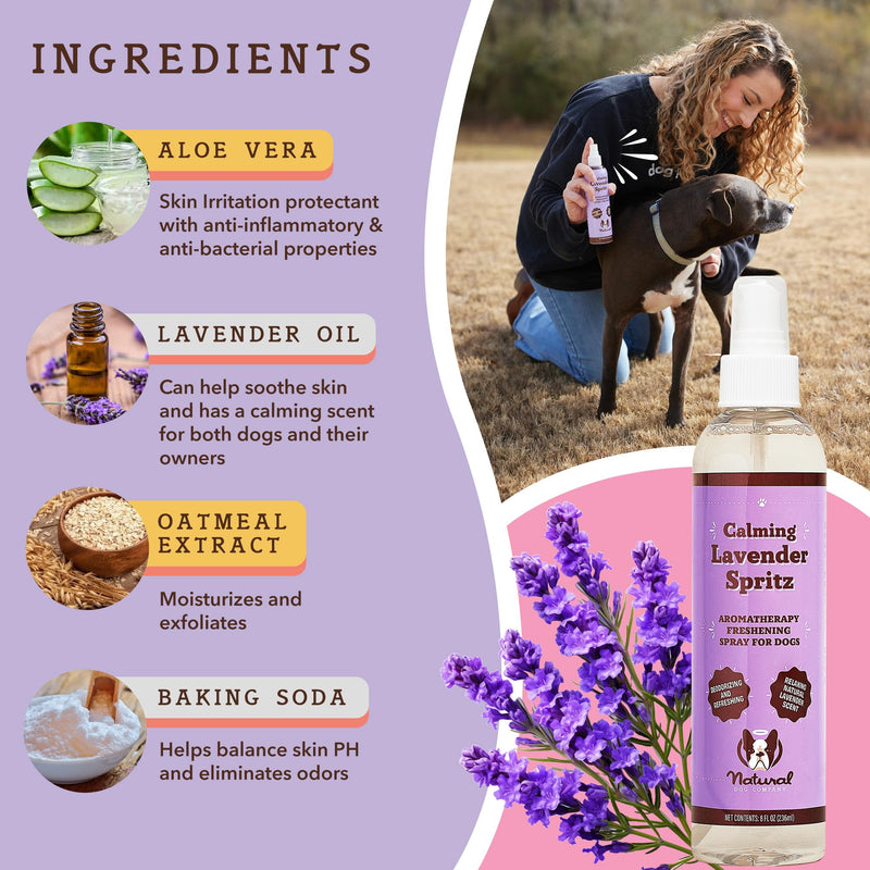 Natural Dog Company Calming Lavender Spritz for Dogs, 8oz – Deodorizing & Moisturizing, Soothes Skin, Conditions Coat, Hypoallergenic, Alcohol-Free, USA Made - BeesActive Australia