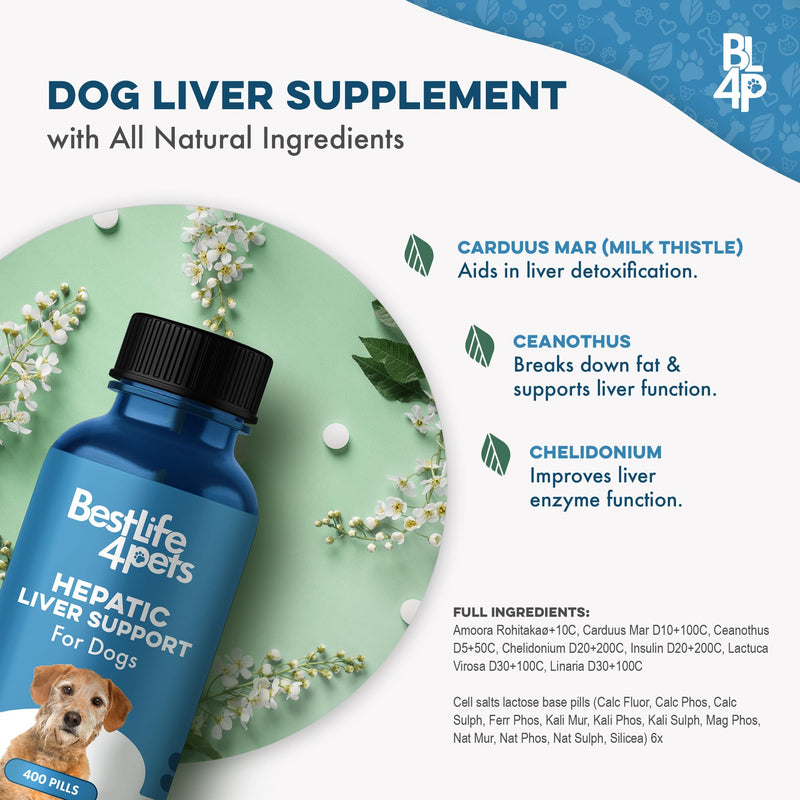 Hepatic Liver Support for Dogs, Dissolvable Homeopathic Digestive Canine Supplement for Liver Detox and Nutrient Absorption, 100% All Natural, Easy to Give, Free of Chemicals or Additives, 400 Pills - PawsPlanet Australia