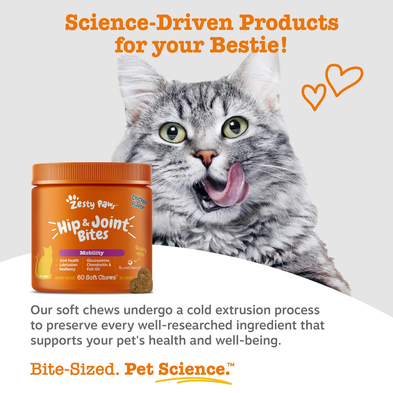 Zesty Paws Hip & Joint Bites for Cats - Glucosamine for Cats - with Chondroitin, Turmeric - Cat Joint Supplement for Hip & Joints - AlaskOmega Fish Oil with Omega-3 Fatty Acids - 60 Count Chicken - Cat 60 Count (Pack of 1)