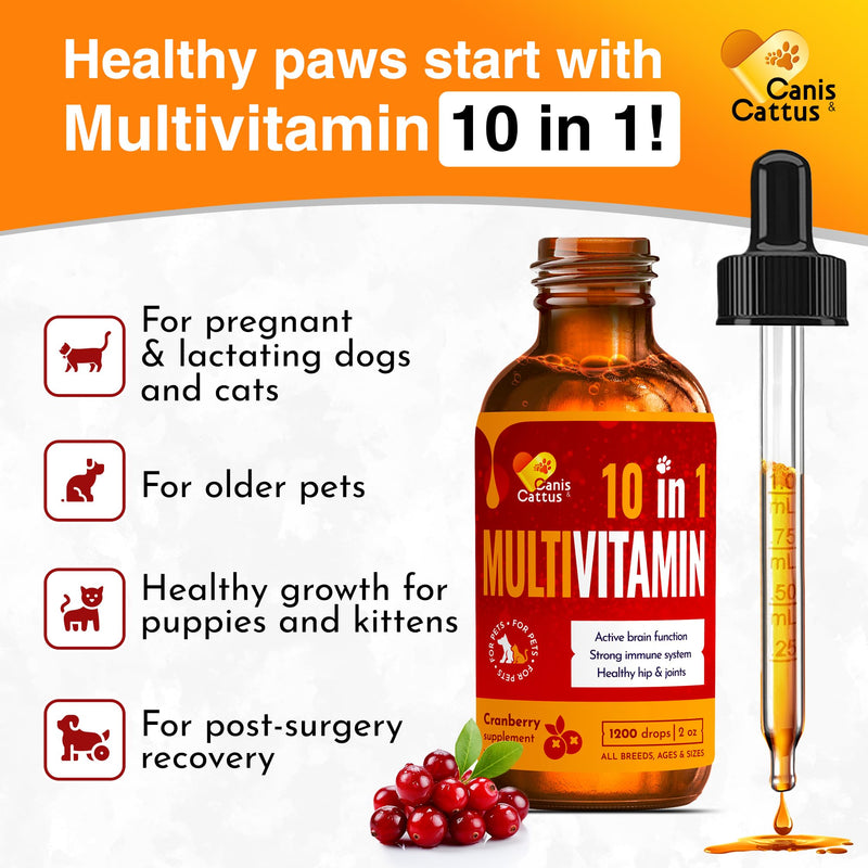Liquid Cat & Dog Vitamins – Dog Antibiotics for All Pets – Bundle of 10 in 1 Cat & Dog Multivitamin + Antibiotic Supplement – Cough, Allergy, Sneezing, Joint Care – Vitamin C, D, B – Bottle Set x 2 oz
