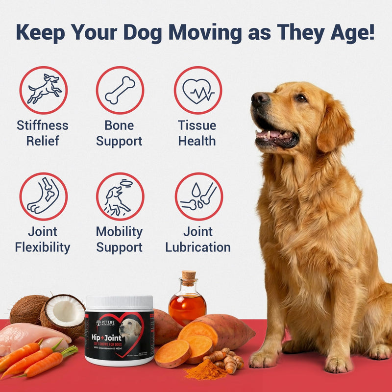 3-in-1 Joint Supplement for Dogs - with Glucosamine, MSM & Green Lipped Mussel - Daily Mobility Support for Small, Medium, Large, and Senior Breeds - Chicken Flavor - 60 Soft Chews
