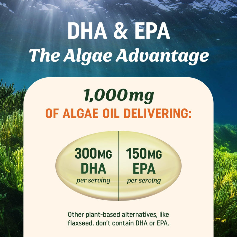 Vegan Omega 3 Algae Oil | Plant Based DHA EPA | Sustainably Sourced, No Carrageenan, Non GMO | Heart, Brain, and Eye Health | Fish Oil Alternative | Algae Omega 3 Supplement | 60 Softgel Capsules 60 Capsules - BeesActive Australia