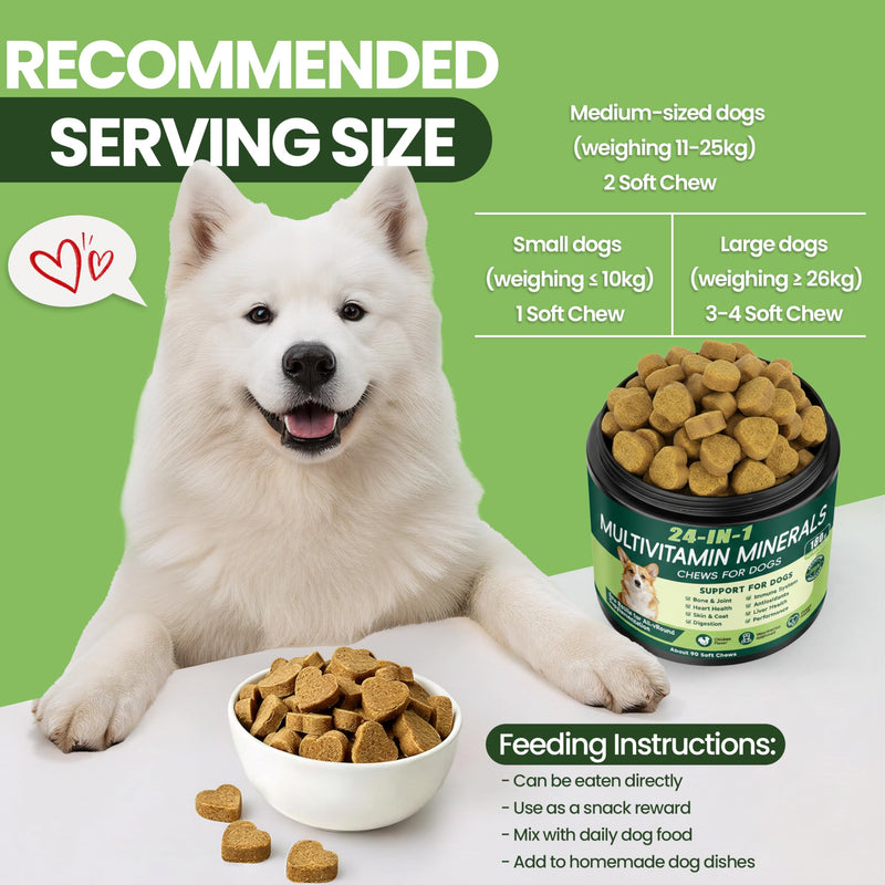 24-in-1 Dog Vitamins and Supplements, Dog Multivitamin Chewable with Chondroitin Probiotics Omega-3 Glucosamine for Dogs Skin Coat Hip and Joint Heart Gut Liver Brain Eye Immune Support, 90 Chews