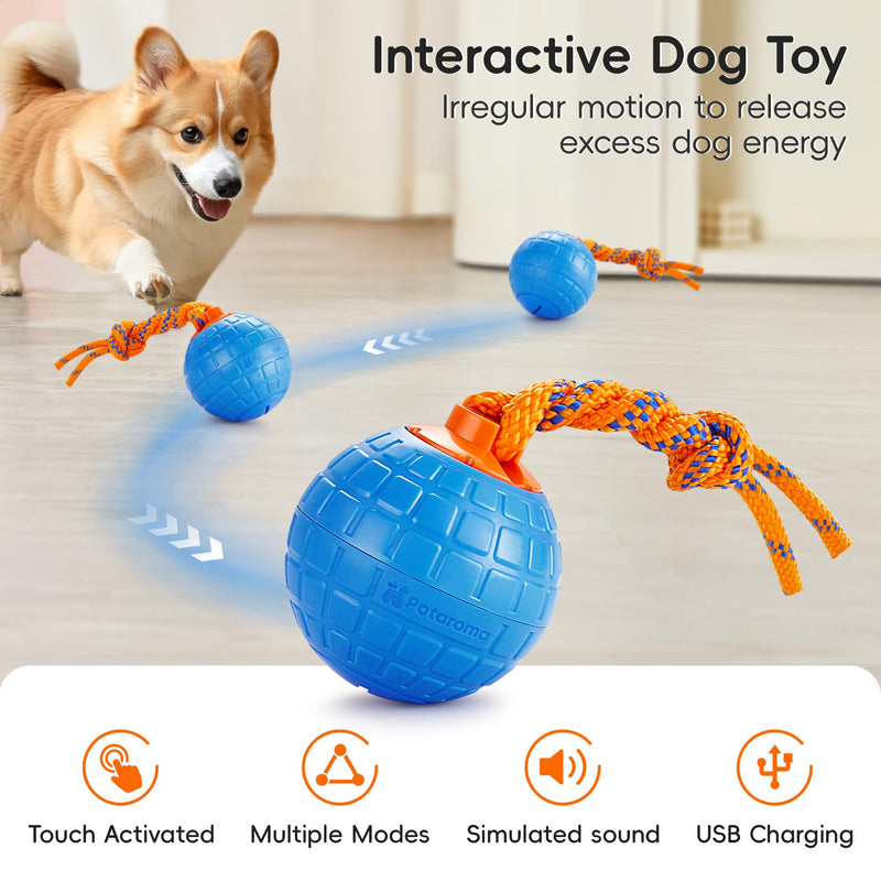 Potaroma Interactive Dog Ball Toys Touch Activated, Rechargeable Animal Sound Dog Toy, Durable Moving Ball for Pup with Chewing Rope for Dogs Puppy, Blue - BeesActive Australia